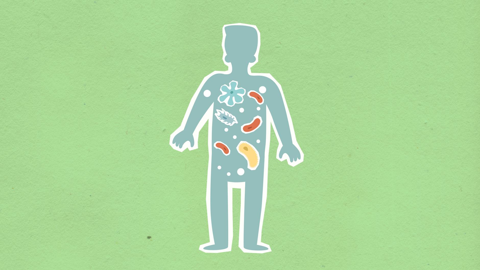 "Can Improving Your Gut Bacteria Actually Help With Depression and Anxiety?" What 30+ Studies Reveal About the Gut-Brain Connection