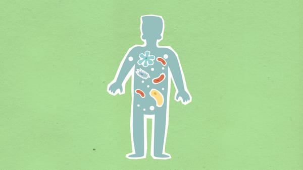 "Can Improving Your Gut Bacteria Actually Help With Depression and Anxiety?" What 30+ Studies Reveal About the Gut-Brain Connection